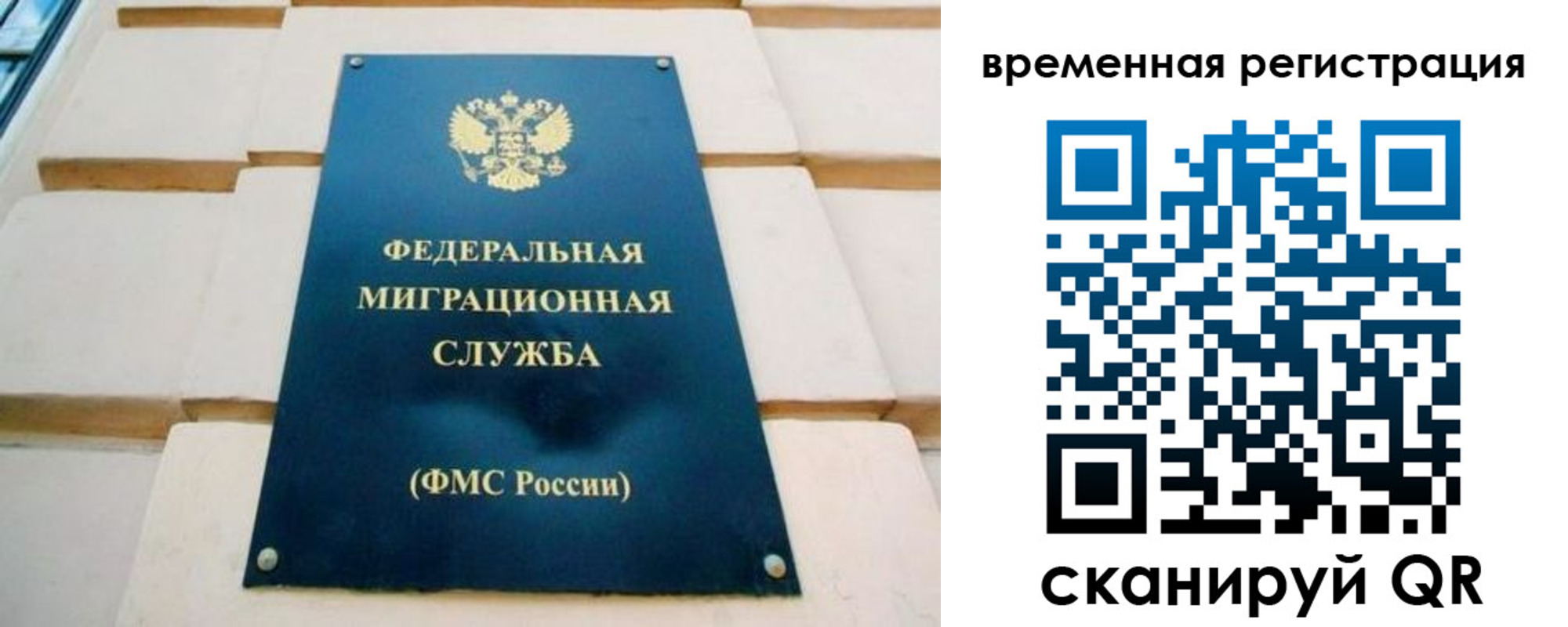 прописка гарантия в Скопине